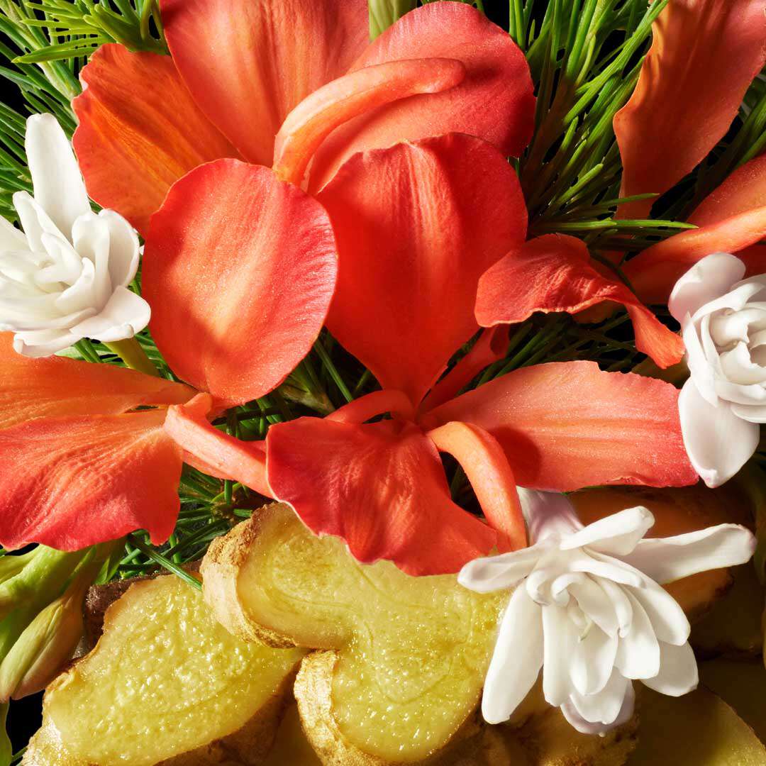 Molton Brown Heavenly Gingerlily Body Lotion 300 ml Fredrik & Louisa