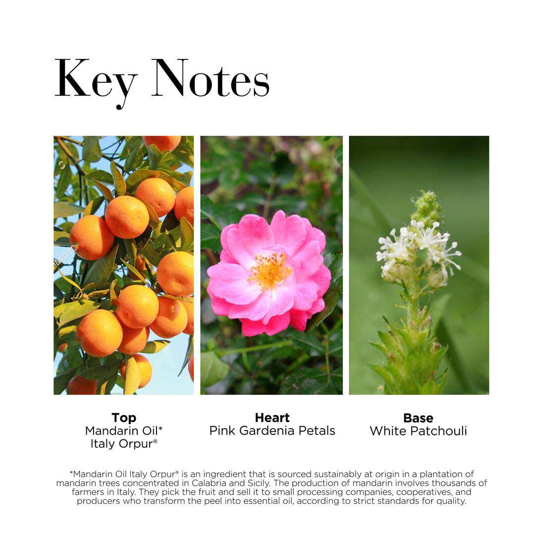 Elizabeth Arden Green Tea Lychee Lime Honey Drops Body Cream 500 ml