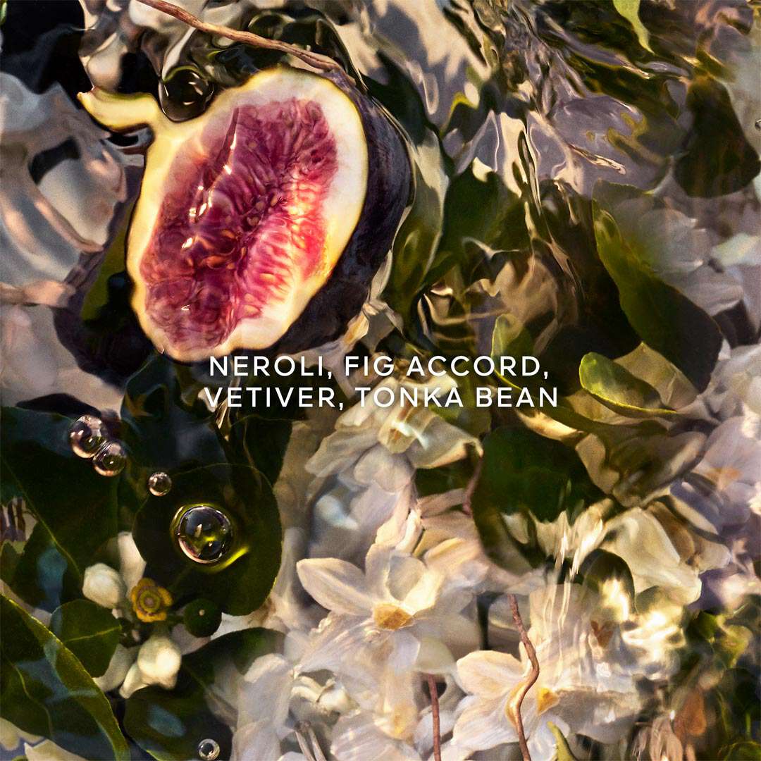 Aqua Allegoria Nerolia Vetiver Forte EdP Refill 200 ml