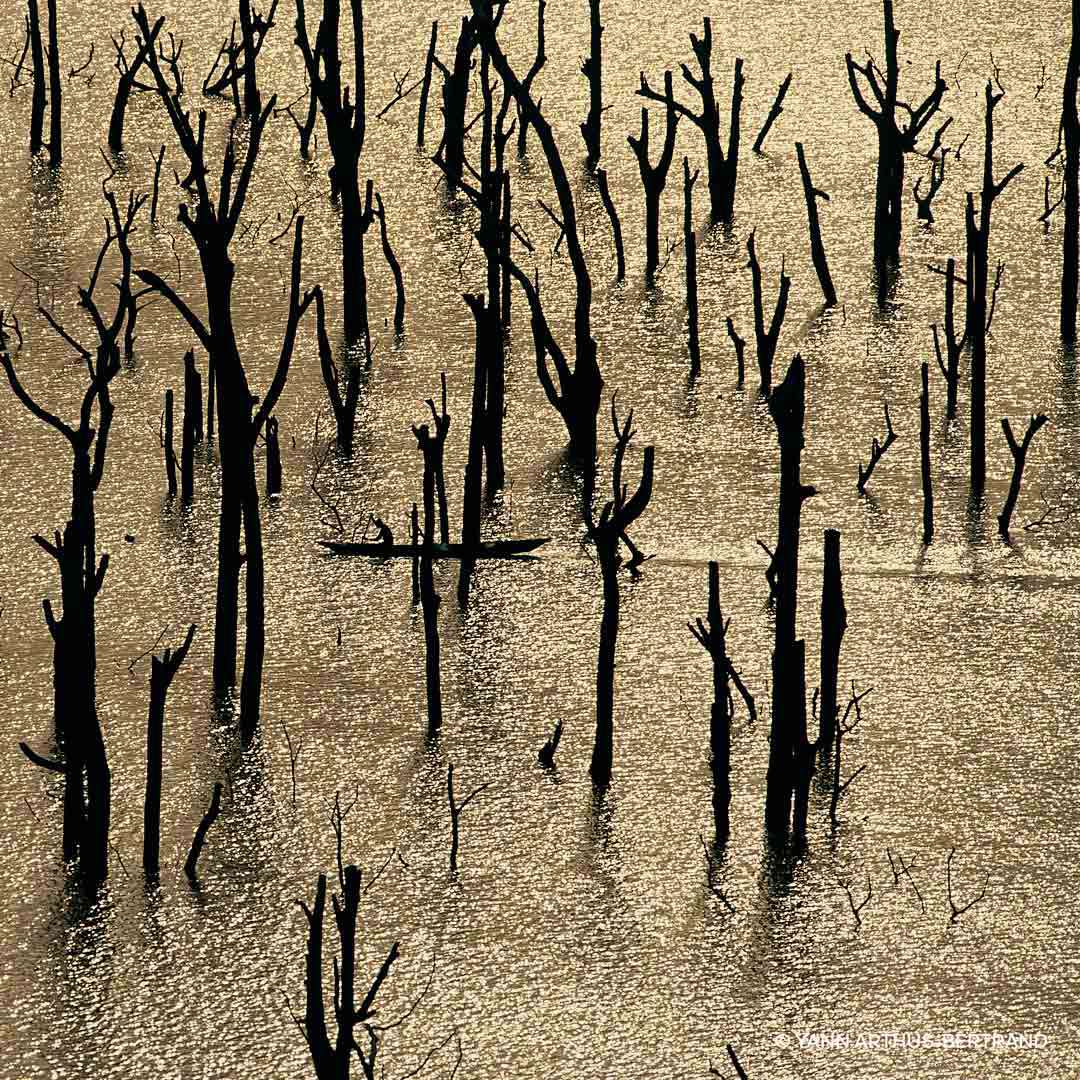 Aqua Allegoria Nerolia Vetiver Forte EdP Refill 200 ml