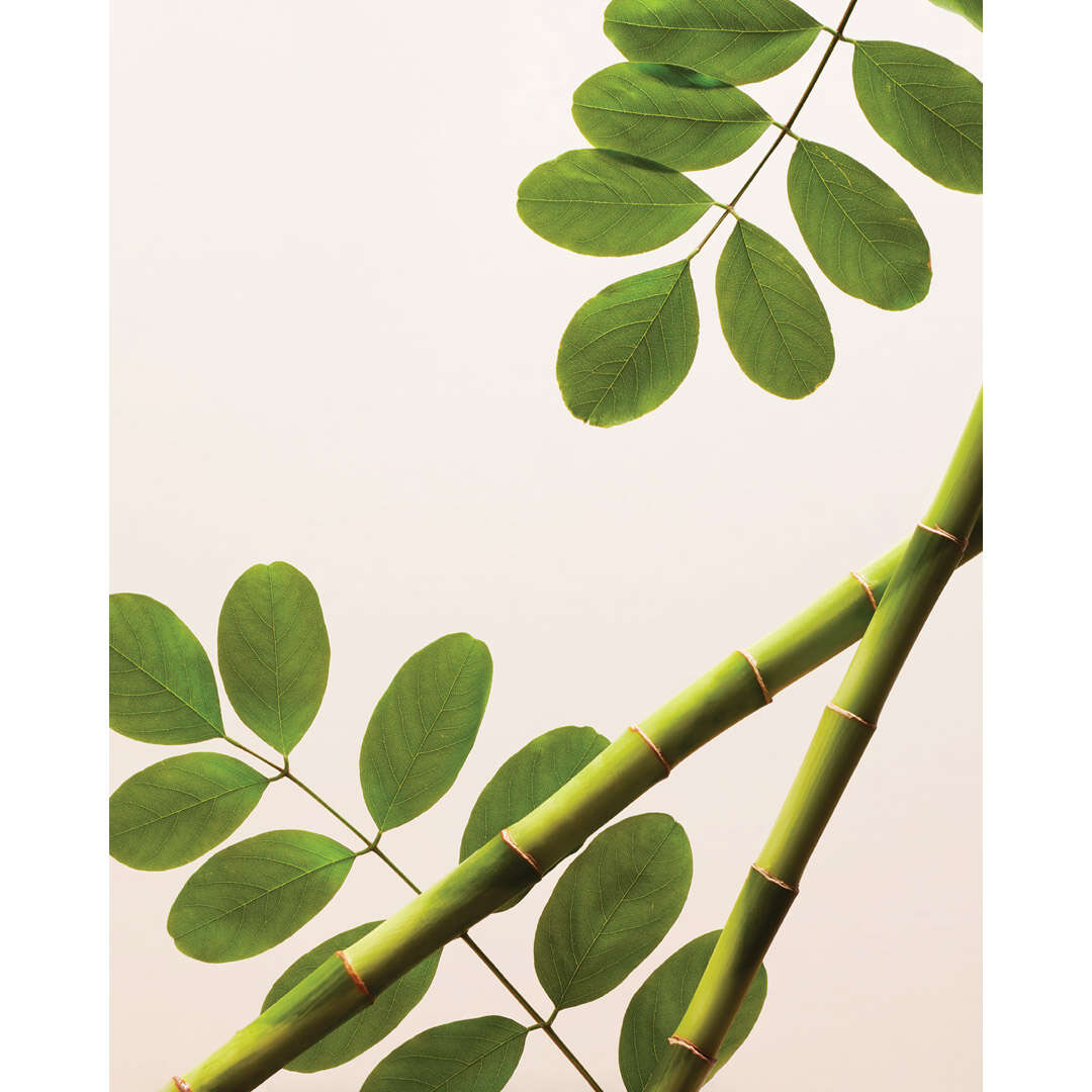 Rituals The Ritual of Namaste Skin Brightening Face Exfoliator 75 ml ...