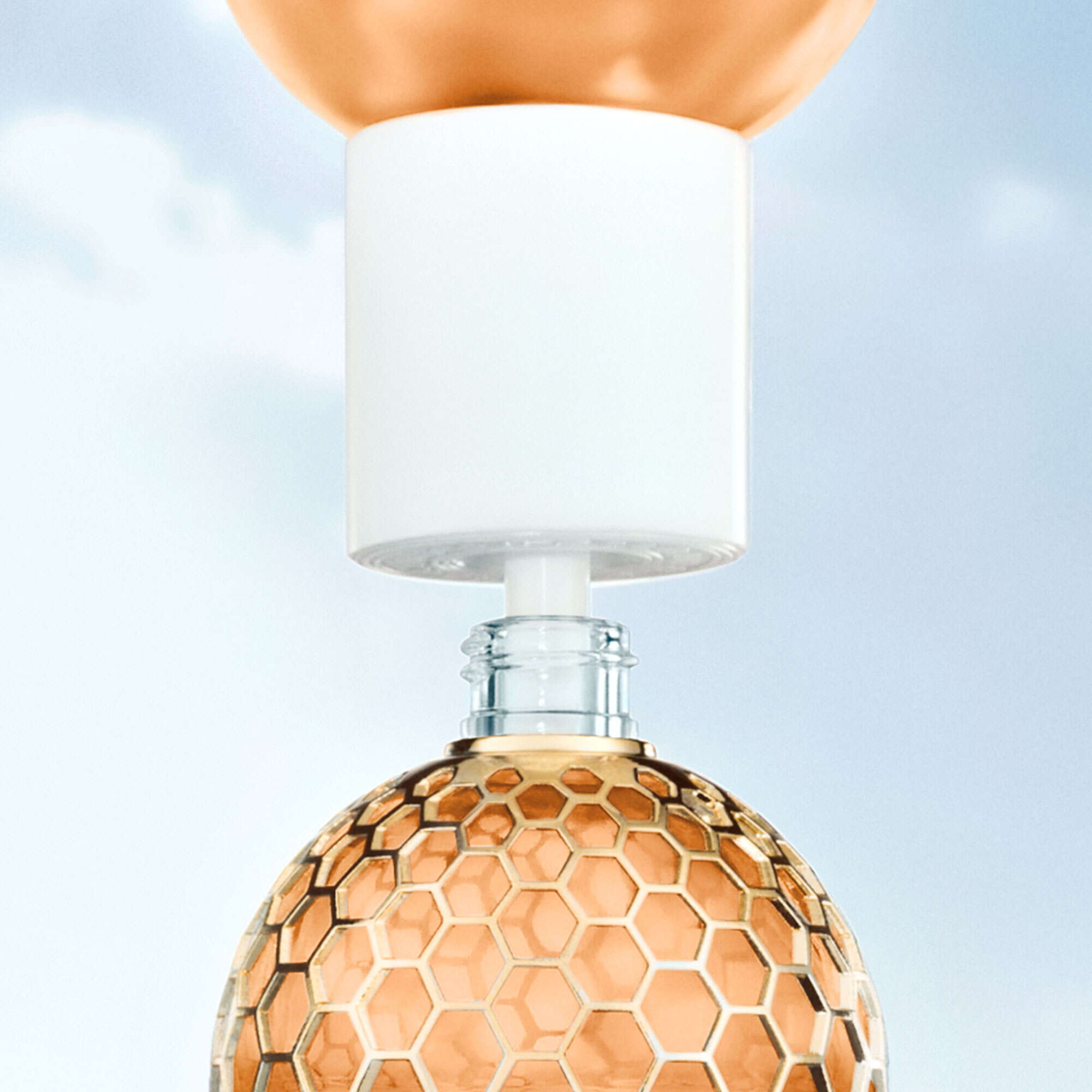 Aqua Allegoria Forte Rosa Pallisandro EdP Refill 200 ml