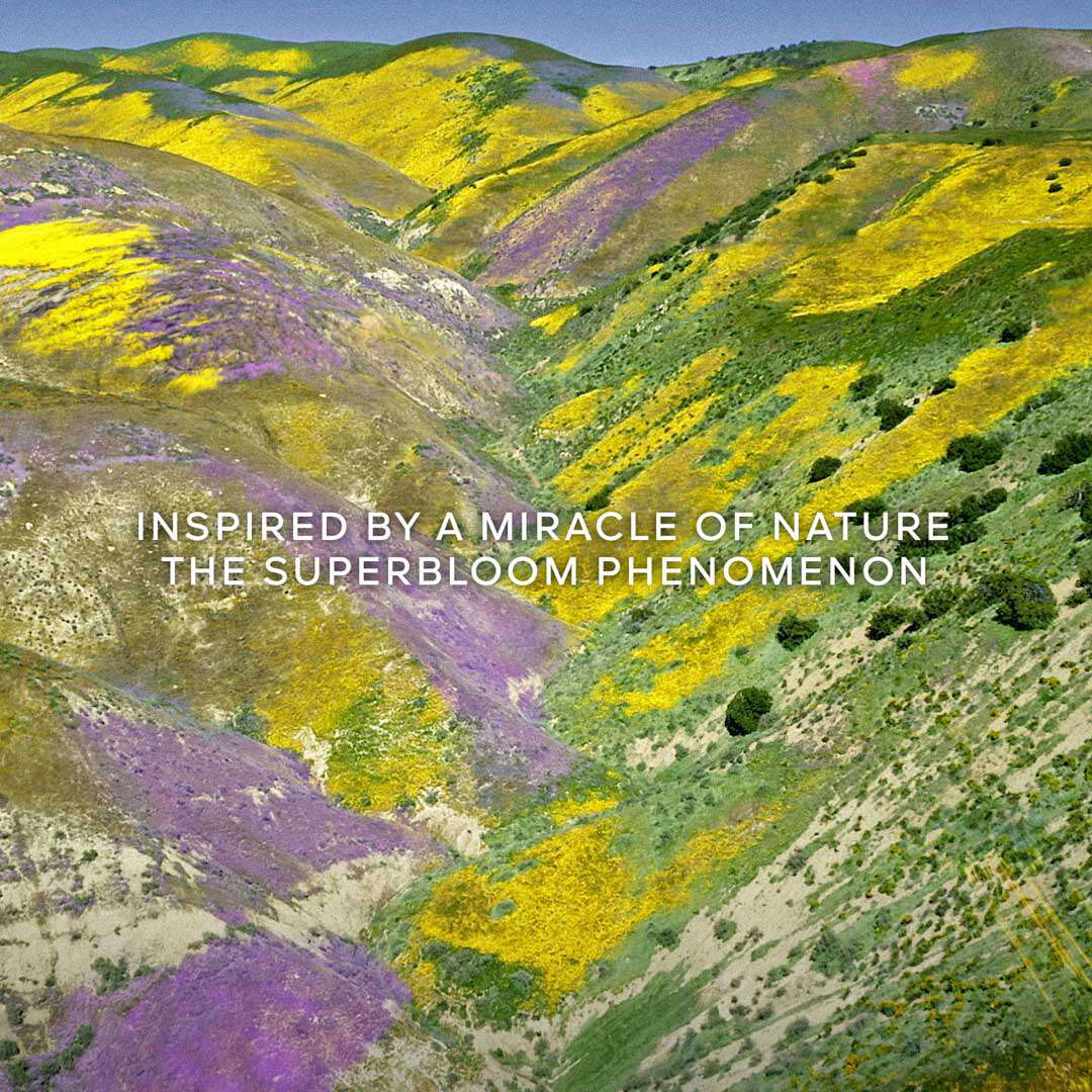 Aqua Allegoria Florabloom EdT Refill 200 ml