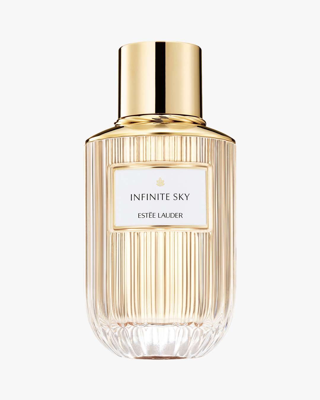 Infinite Sky EdP