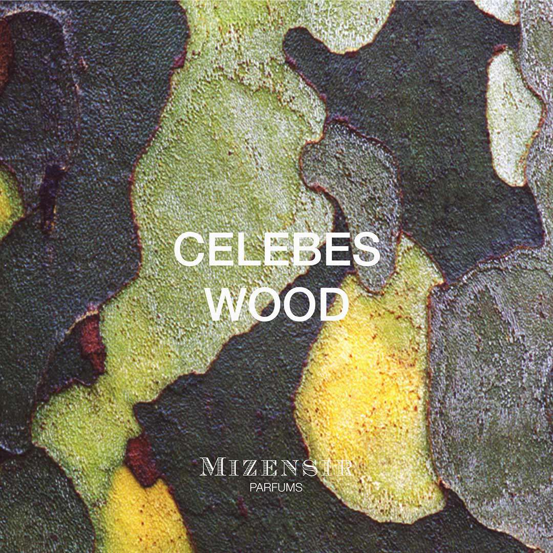 Celebes Wood EdP 100 ml