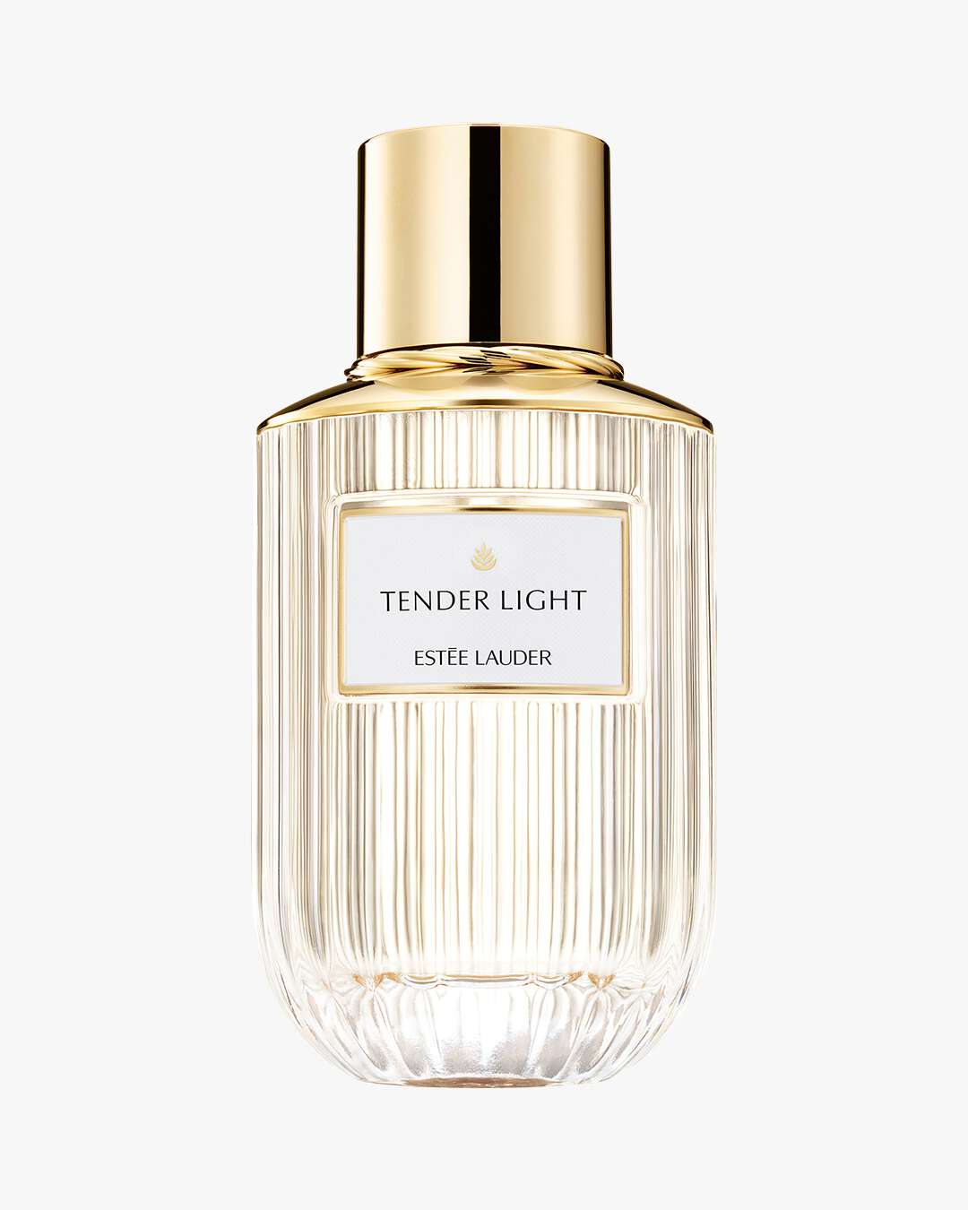 Tender Light EdP