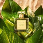 Isola Verde Parfum 50 ml