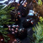 ELYSIUM NOIR Pour Homme 100 ml