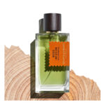 Wood Infusion EdP 100 ml