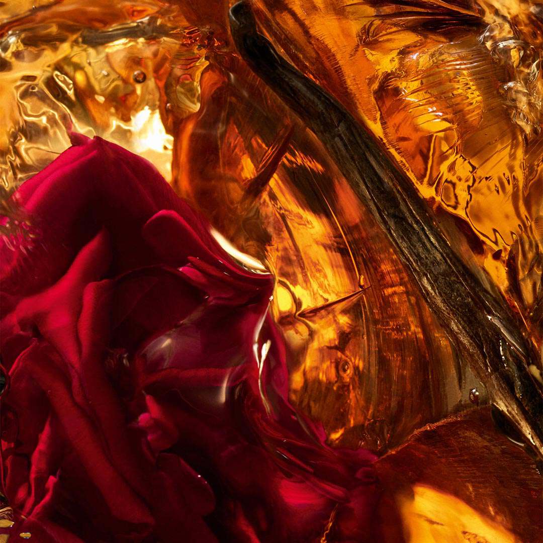 Absolus Allegoria Amber Samara EdP 125 ml